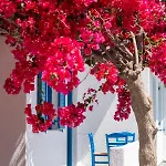 Ayeri Ξενοδοχείο
