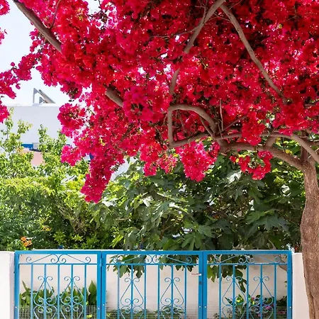 Ayeri Parikia (Paros)