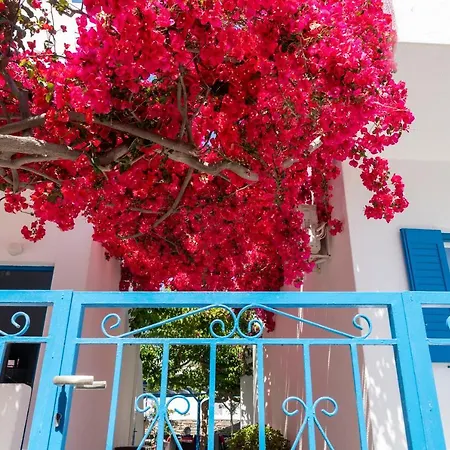 Ayeri Parikia (Paros)