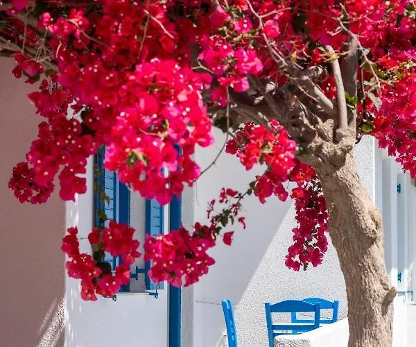 Ayeri Ξενοδοχείο